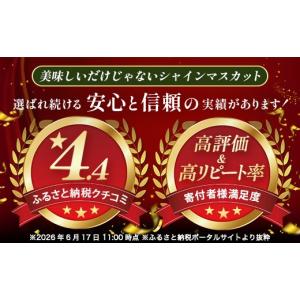ふるさと納税 ぶどう マスカット 佐賀県 鹿島...の詳細画像3