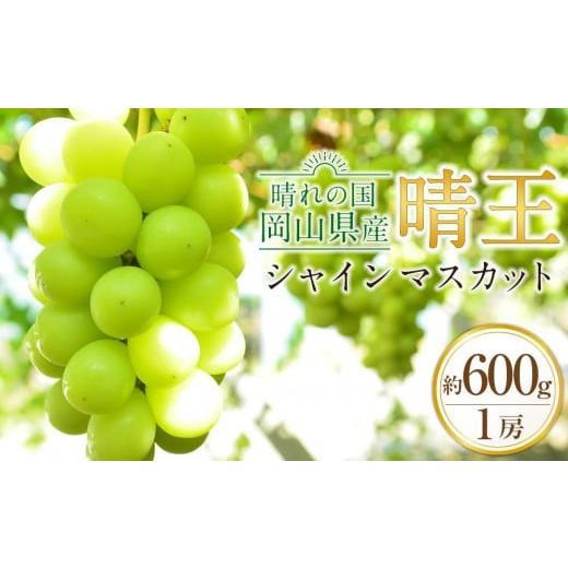 ふるさと納税 岡山県 倉敷市 JA01　シャインマスカット 晴王 約600g 1房入り　岡山県産