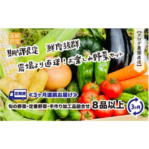 ふるさと納税 福井県 越前町 【先行予約】定期便 ≪3ヶ月連続お届け≫ 鮮度抜群 農場より直送！お楽...