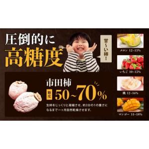 ふるさと納税 乾物 長野県 飯田市 冷凍 たく...の詳細画像3
