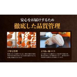 ふるさと納税 乾物 長野県 飯田市 冷凍 たく...の詳細画像4