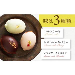 ふるさと納税 ケーキ・カステラ 長崎県 長与町...の詳細画像3