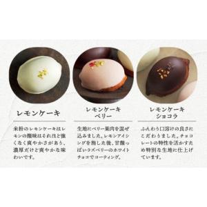 ふるさと納税 ケーキ・カステラ 長崎県 長与町...の詳細画像4