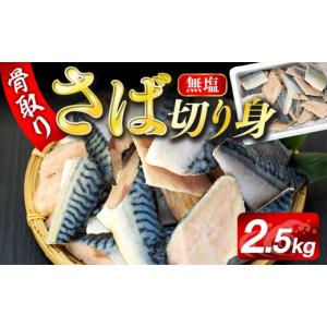 ふるさと納税 旬の鮮魚等 千葉県 長生村 C0...の詳細画像1