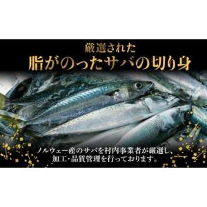 ふるさと納税 旬の鮮魚等 千葉県 長生村 C0...の詳細画像2