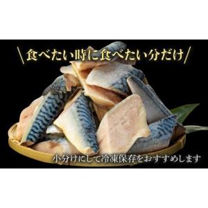 ふるさと納税 旬の鮮魚等 千葉県 長生村 C0...の詳細画像5
