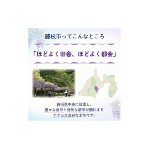 ふるさと納税 お茶類 静岡県 藤枝市 訳あり ...の詳細画像5
