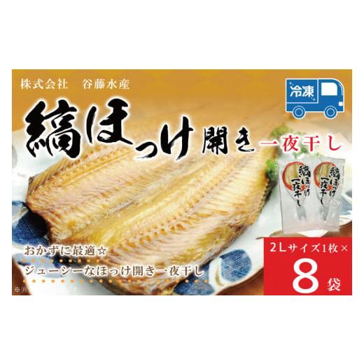 ふるさと納税 魚貝類 茨城県 大洗町 縞ほっけ 開き 一夜干し 真空パック 2Lサイズ 1枚 × 8...