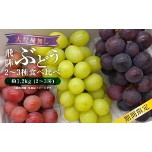 ふるさと納税 果物類 ぶどう 岐阜県 高山市 先行予約 9月中旬〜11月中旬発送 山本果樹園 季節の大粒種無しぶどう 詰め合わせ 約1.2kg（2房〜3房）| 果物 フル…