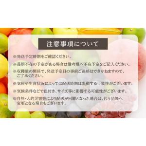 ふるさと納税 果物類 ぶどう 岐阜県 高山市 ...の詳細画像3