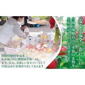 ふるさと納税 果物類 ぶどう 岐阜県 高山市 ...の詳細画像4