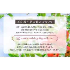ふるさと納税 果物類 ぶどう 岐阜県 高山市 ...の詳細画像5