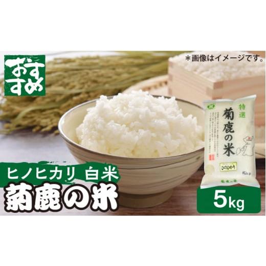 ふるさと納税 熊本県 山鹿市 菊鹿の米 ヒノヒカリ 5kg【有限会社 あそしな米穀】ひのひかり 熊本...