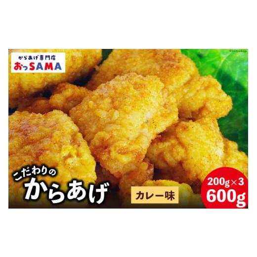 ふるさと納税 肉 揚げ物 石川県 宝達志水町 唐揚げ 冷凍 レンジで簡単 胸肉 カレー味 200g×...