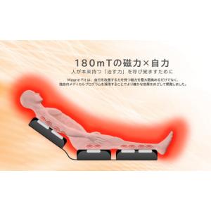 ふるさと納税 電化製品 群馬県 高崎市 23D...の詳細画像4