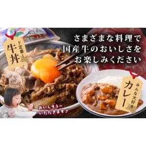 ふるさと納税 牛肉 炒め物 宮崎県 都城市 国...の詳細画像4