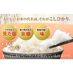 ふるさと納税 米 コシヒカリ 宮崎県 宮崎市 ...の詳細画像3