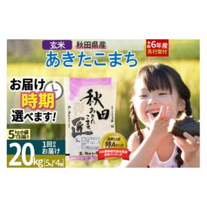 ふるさと納税 秋田県 仙北市 【玄米】＜令和6年産 新米予約＞ 秋田県産 あきたこまち 20kg (5kg×4袋) 20キロ お米【2024年秋 収穫後に順次発送開始】