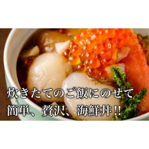 ふるさと納税 惣菜・レトルト 冷凍 北海道 函...の詳細画像3