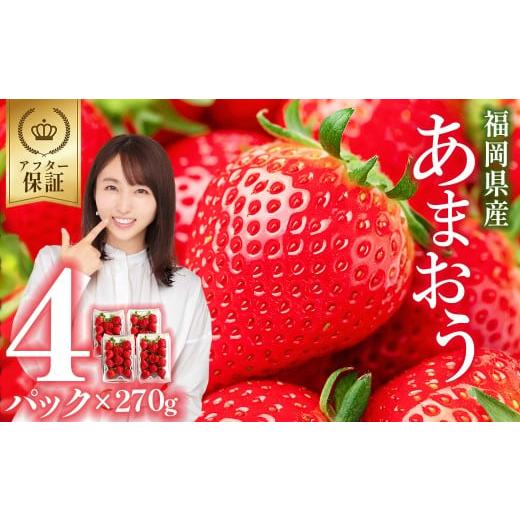 ふるさと納税 いちご 福岡県 赤村 福岡県産 あまおう 約270g × 4パック ふるさと納税 いち...