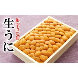 ふるさと納税 ウニ 北海道 根室市 B-40026 エゾバフンウニ150g×1折