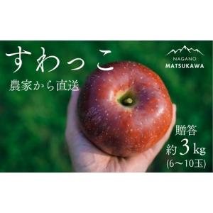 ふるさと納税 りんご 長野県 松川町 KR04...の詳細画像1