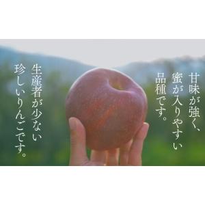 ふるさと納税 りんご 長野県 松川町 KR04...の詳細画像2
