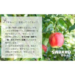ふるさと納税 りんご 長野県 松川町 KR04...の詳細画像4