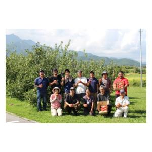ふるさと納税 りんご 長野県 松川町 KR04...の詳細画像5