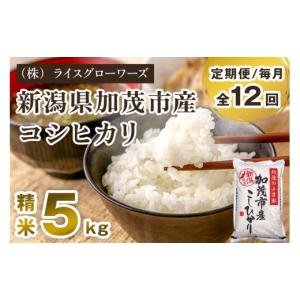 ふるさと納税 米 コシヒカリ 新潟県 加茂市 ...の詳細画像1