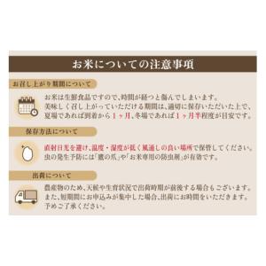 ふるさと納税 米 コシヒカリ 新潟県 加茂市 ...の詳細画像2