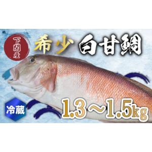 ふるさと納税 山口県 下関市 白 甘鯛 1.3〜1.5kg 冷蔵 ...