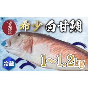 ふるさと納税 山口県 下関市 白 甘鯛 1〜1.2kg 冷蔵 高...