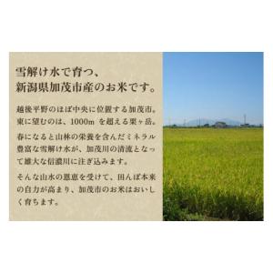ふるさと納税 米 コシヒカリ 新潟県 加茂市 ...の詳細画像3