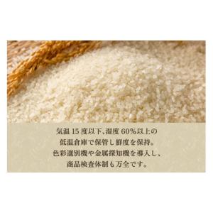 ふるさと納税 米 コシヒカリ 新潟県 加茂市 ...の詳細画像5