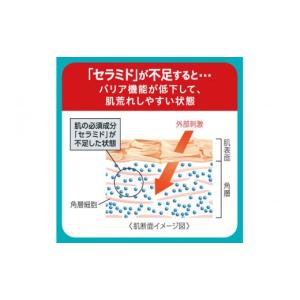 ふるさと納税 化粧水・乳液 美容液・クリーム ...の詳細画像4
