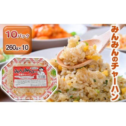 ふるさと納税 富山県 高岡市 みんみんのチャーハン10パック　餃子専門店　ギョーザ　ぎょうざ　富山　...