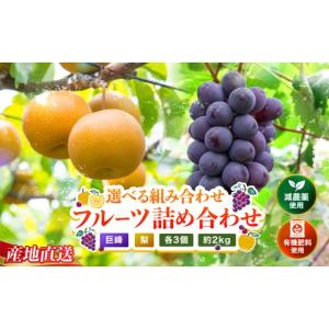 ふるさと納税 梨 大分県 中津市 糖度計使用 ...の詳細画像1