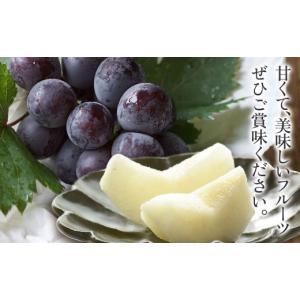 ふるさと納税 梨 大分県 中津市 糖度計使用 ...の詳細画像4