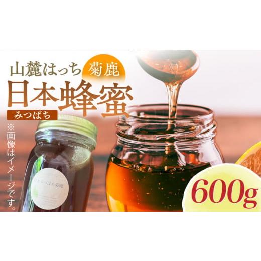 ふるさと納税 熊本県 山鹿市 日本みつばち菊鹿約600g【山麓はっち】 [ZBM011] 蜂蜜 はち...