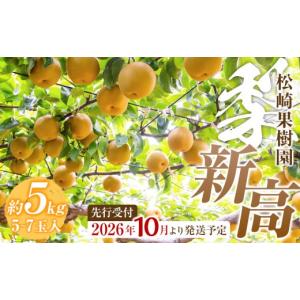 ふるさと納税 梨 宮城県 角田市 2026年発...の詳細画像1