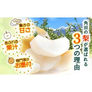 ふるさと納税 梨 宮城県 角田市 2026年発...の詳細画像2