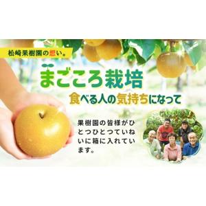 ふるさと納税 梨 宮城県 角田市 2026年発...の詳細画像3