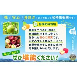 ふるさと納税 梨 宮城県 角田市 2026年発...の詳細画像4