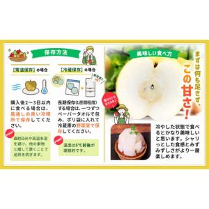 ふるさと納税 梨 宮城県 角田市 2026年発...の詳細画像5