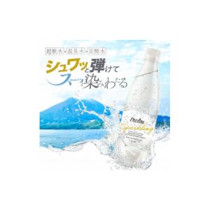 ふるさと納税 炭酸飲料 ソーダ水 鹿児島県 垂...の詳細画像2