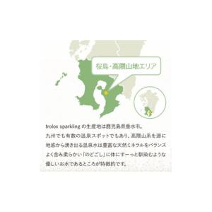 ふるさと納税 炭酸飲料 ソーダ水 鹿児島県 垂...の詳細画像3