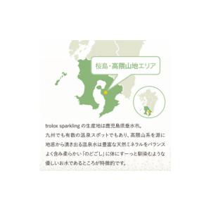 ふるさと納税 炭酸飲料 ソーダ水 鹿児島県 垂...の詳細画像3