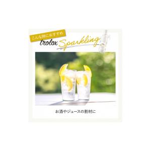 ふるさと納税 炭酸飲料 ソーダ水 鹿児島県 垂...の詳細画像5