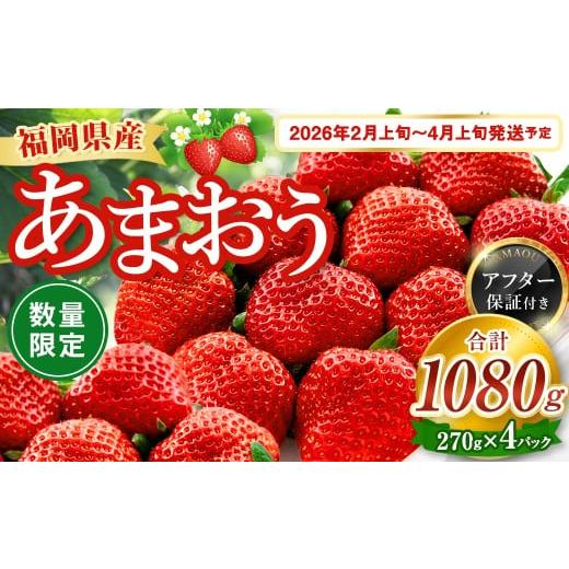 ふるさと納税 いちご 福岡県 遠賀町 数量限定 福岡県産 あまおう 270g×4パック 2026年2...